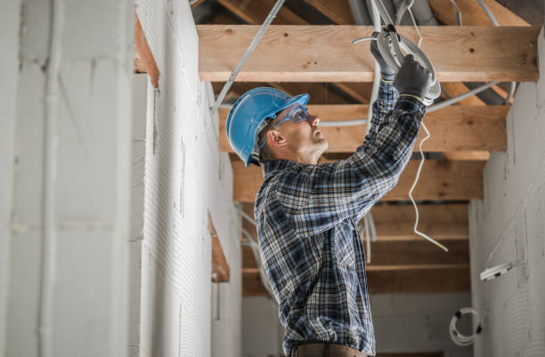 Best Electrical Troubleshooting Services  in Lamoni, IA